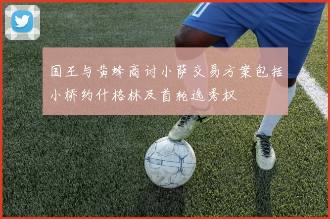 国王与黄蜂商讨小萨交易方案包括小桥约什格林及首轮选秀权